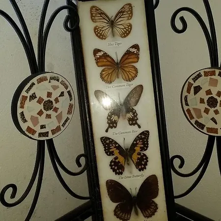 Bed & Breakfast Bedaitetti 3*
